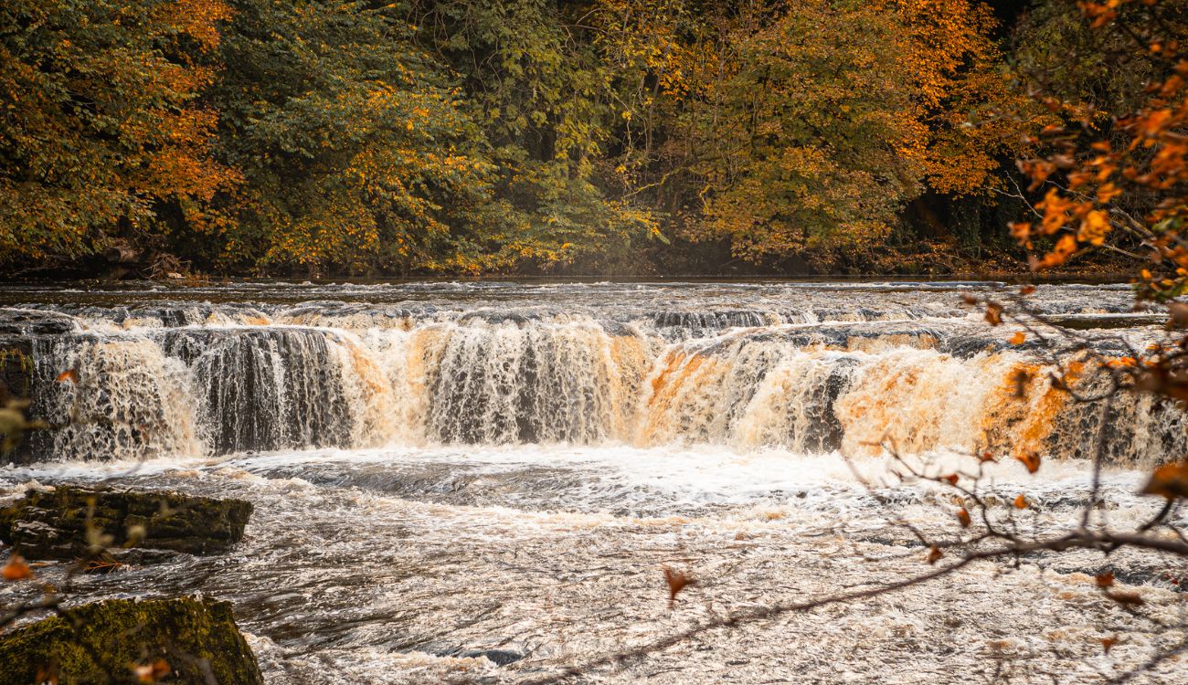 Aysgarth Falls